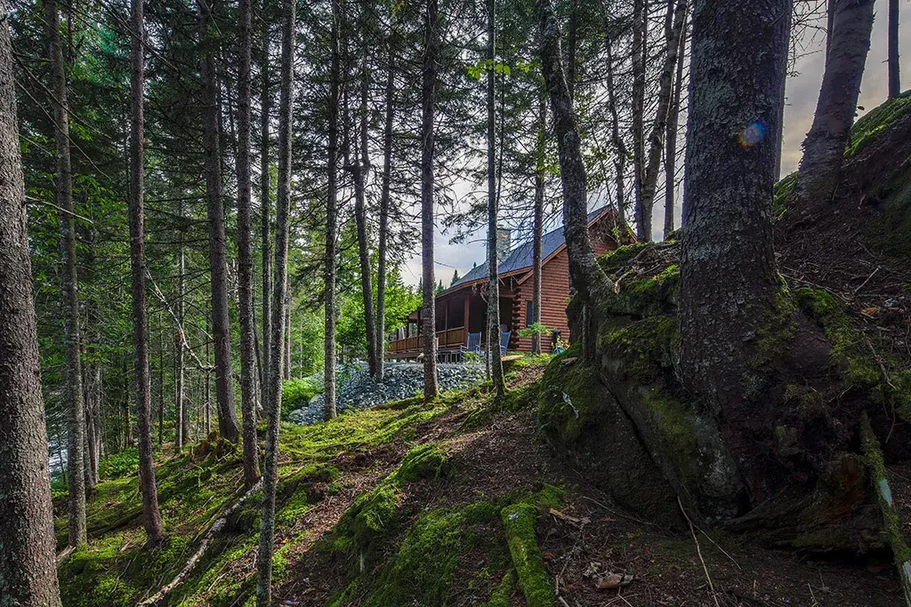 Custom Plan 17663 cedar log home, photo 3